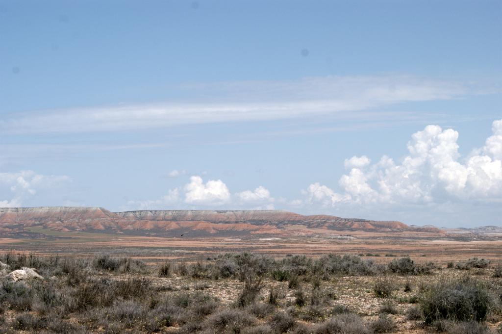 El Planerón